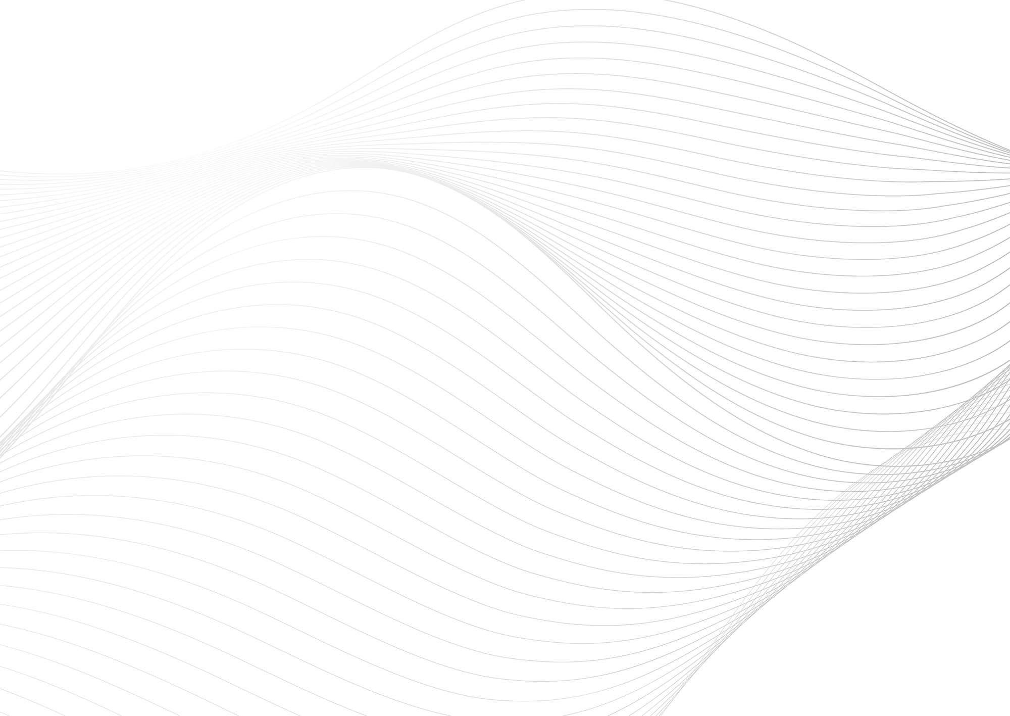 Web Site Tasarımcısı, Bayramiç